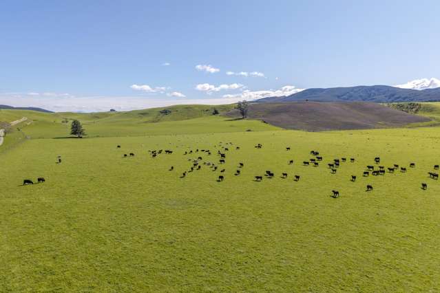 10 Riversleigh Road Glentunnel_3