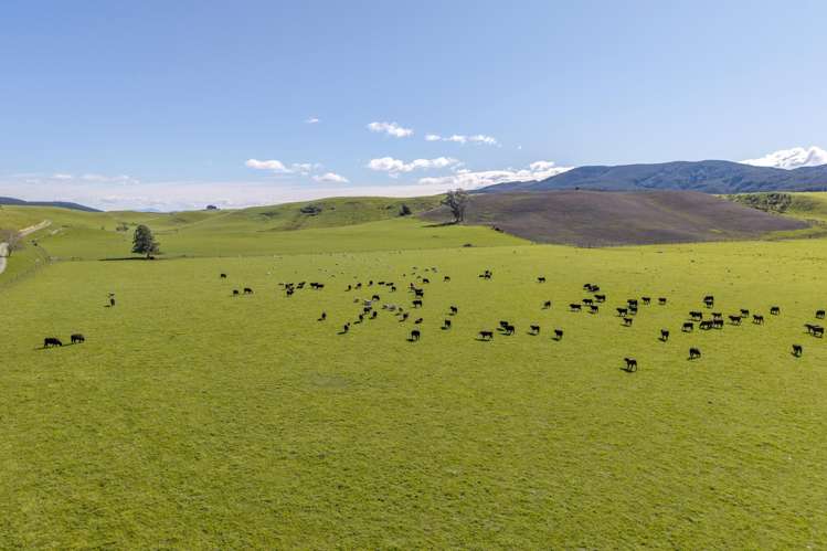 10 Riversleigh Road Glentunnel_3