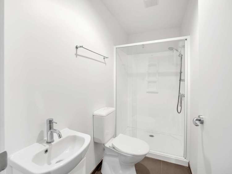 92 West Town Belt Rakaia_13