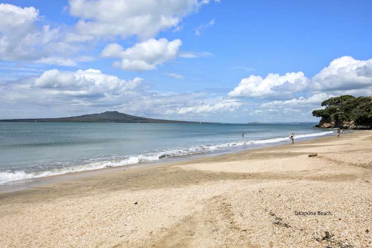 1a William Street Takapuna_18