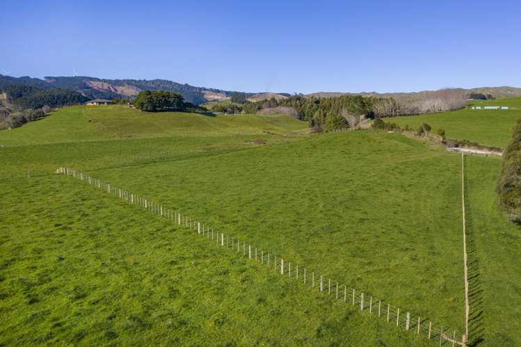 9A Pond Road Raglan_26