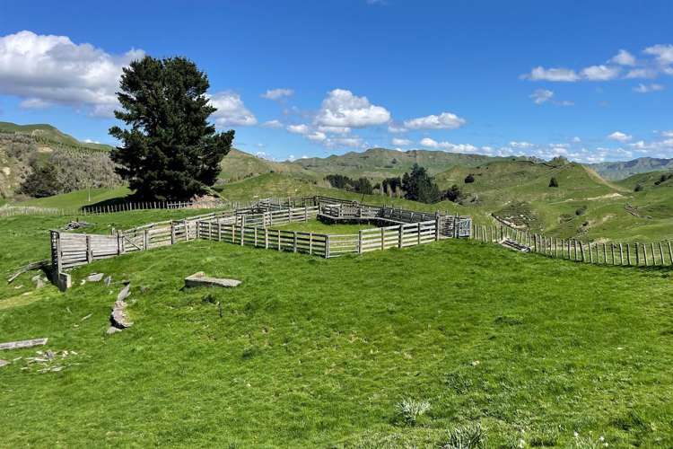 105 Whaka Road Taihape_18