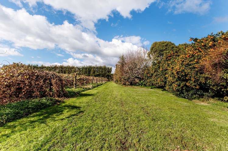 343 Western Drain Road Edgecumbe_6