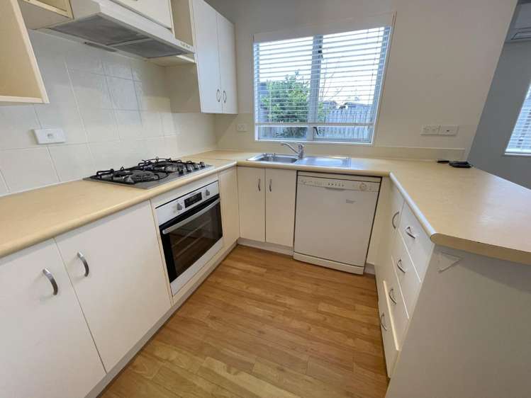 183b Massey Street Frankton_5