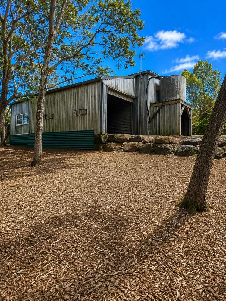 1170 Kaiwaka-Mangawhai Road Mangawhai_5
