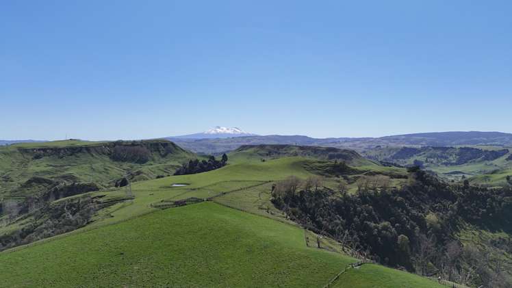 209 Ruanui Road Taihape_3