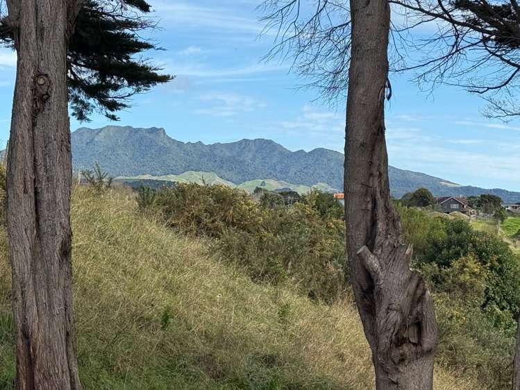 91D Greenslade Rd Raglan_39