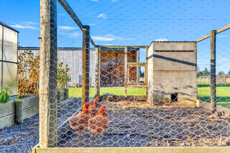 796 Depot Road Burnt Hill_31