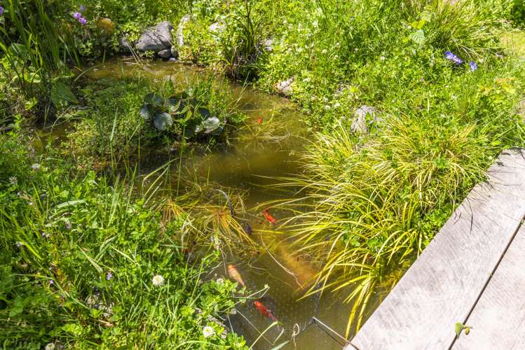 25 Ratanui Road Paraparaumu_20