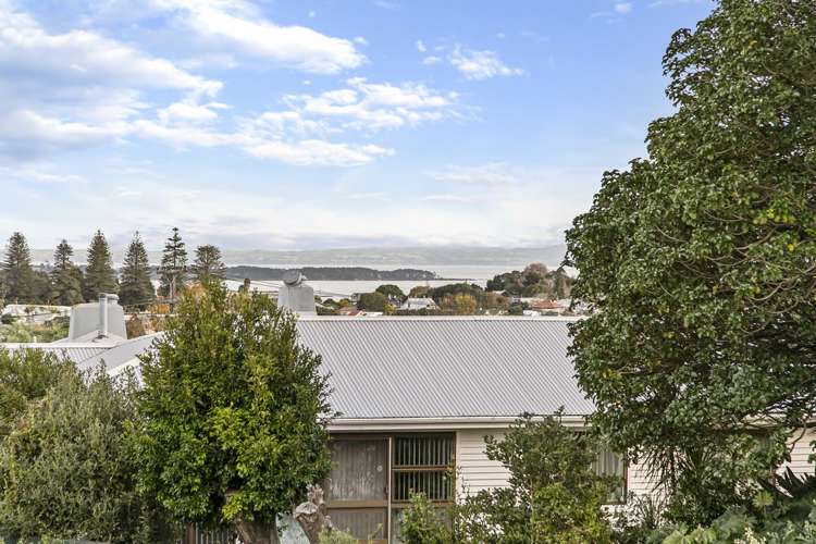 60 Mariri Road One Tree Hill_12