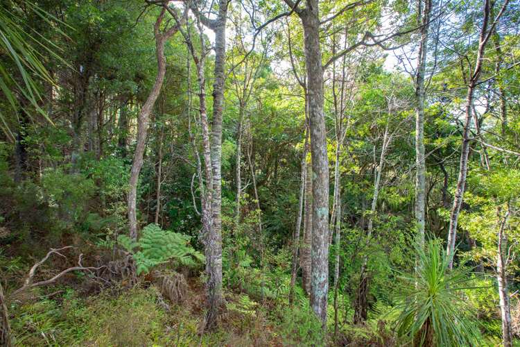 Kapawiti Road Mangawhai_7