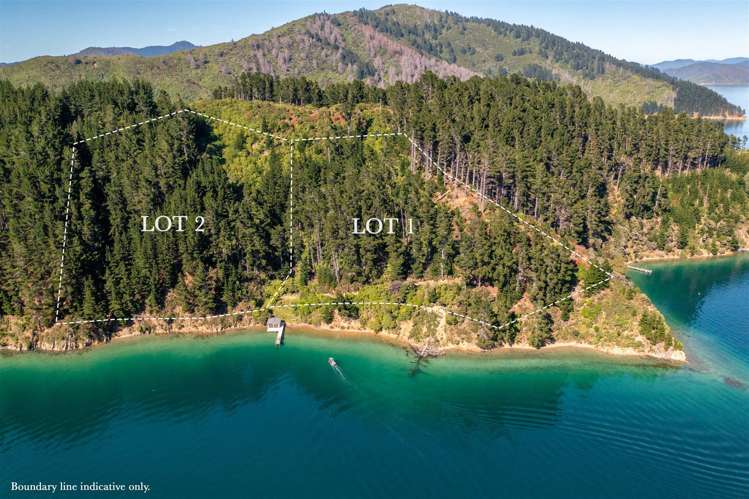 Lots 1 &amp; 2 Ahitarakihi Bay_5