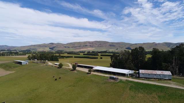 485 Nine Mile Road Riversdale_3