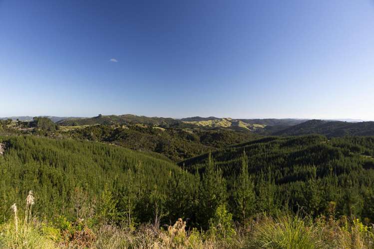69 Otangaroa Road, Kaeo_11