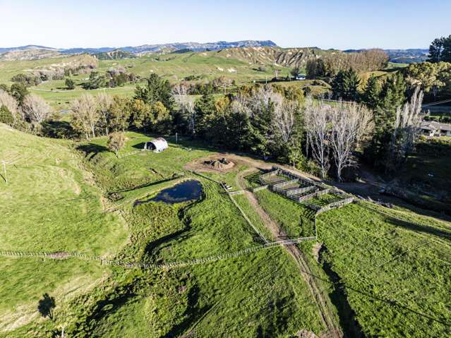 142 Pohokura Road (subdivision of) Tutira_4