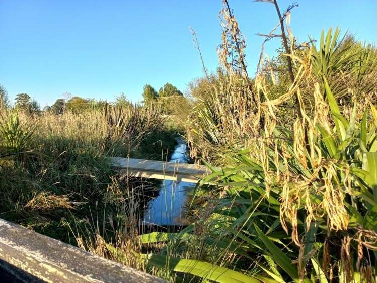 381A Park Road Carterton_18