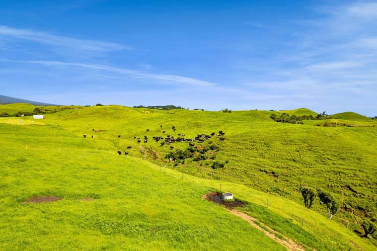 0n Parihaka Road Pungarehu_23