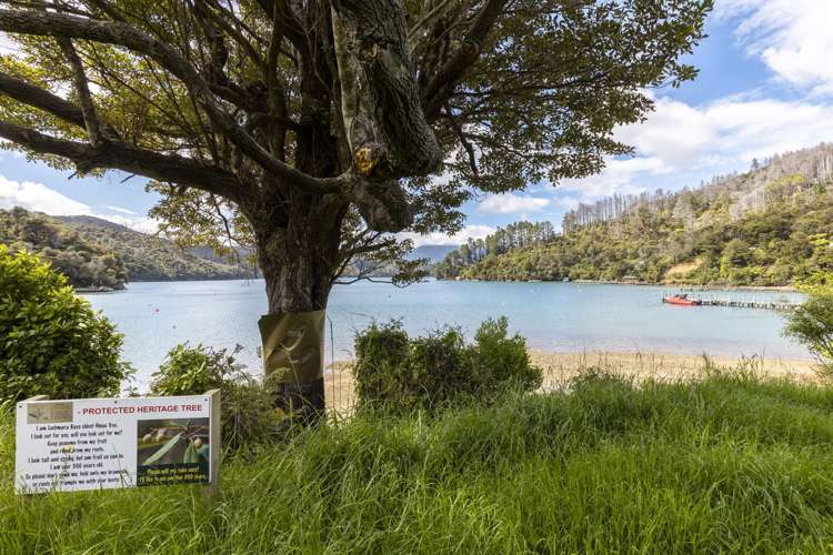 1 West Bay, Lochmara Bay Marlborough Sounds_30