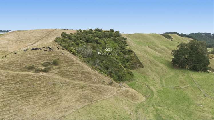 147A Pikowai Road Pikowai_12