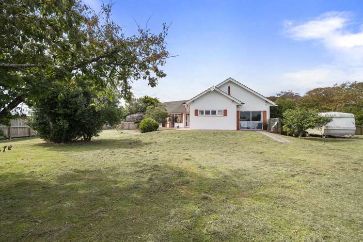 33 Daniell Street Bulls_31