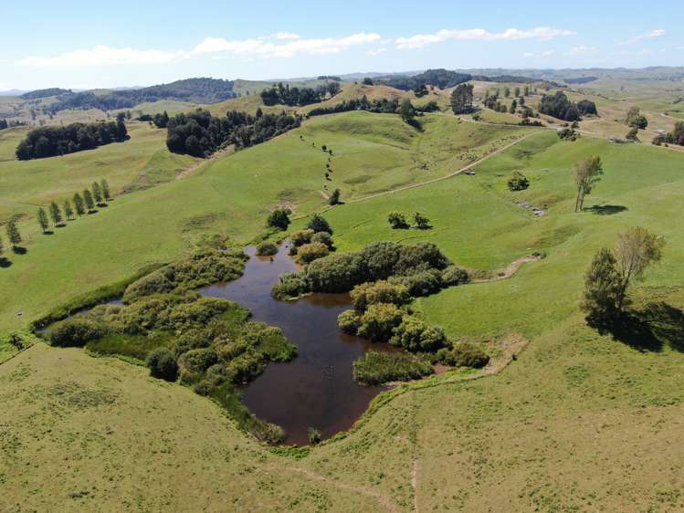 Paekaka Road Piopio_13