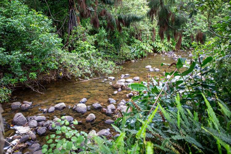 50 Waiomu Valley Road Waiomu_24