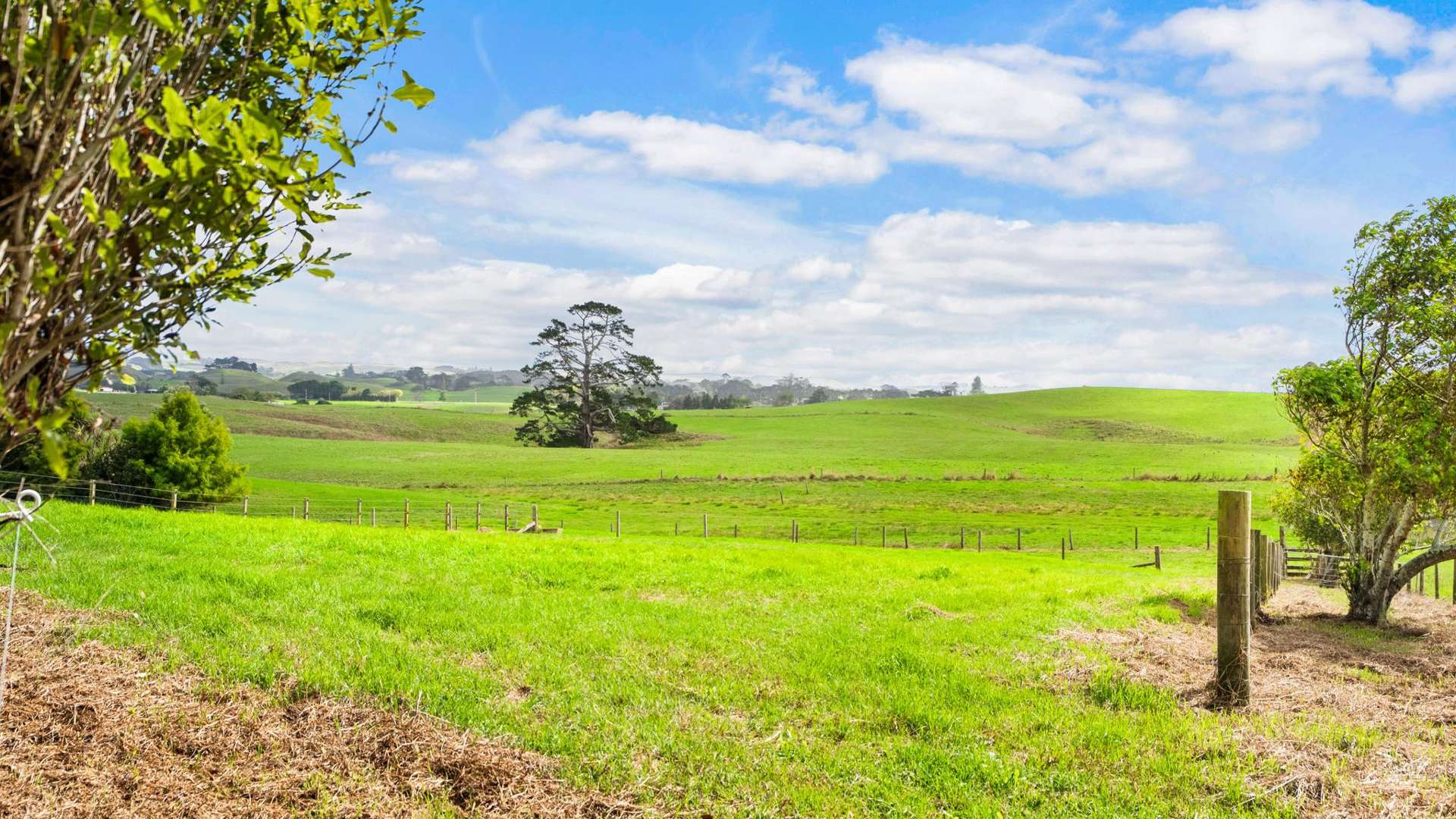 146 Butchers Bridge Road Waiuku_0