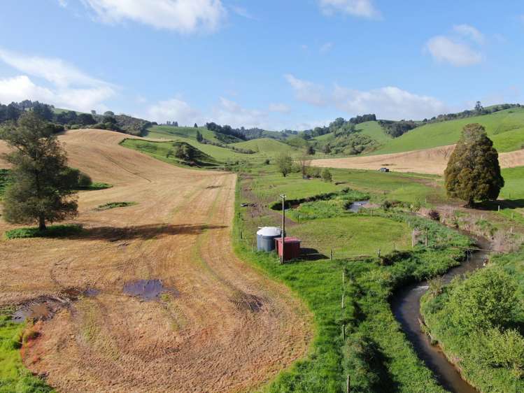 48 Barber Road Otewa_4