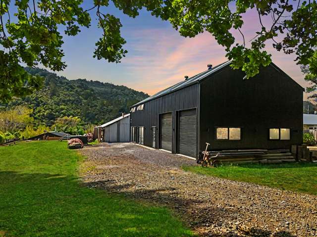 Escape to Paradise - Shed Envy Starts Here...