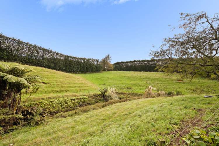 222 Wharawhara Road_5