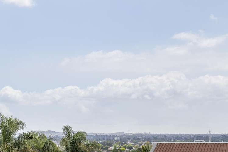 48 Hollyford Drive Clover Park_8