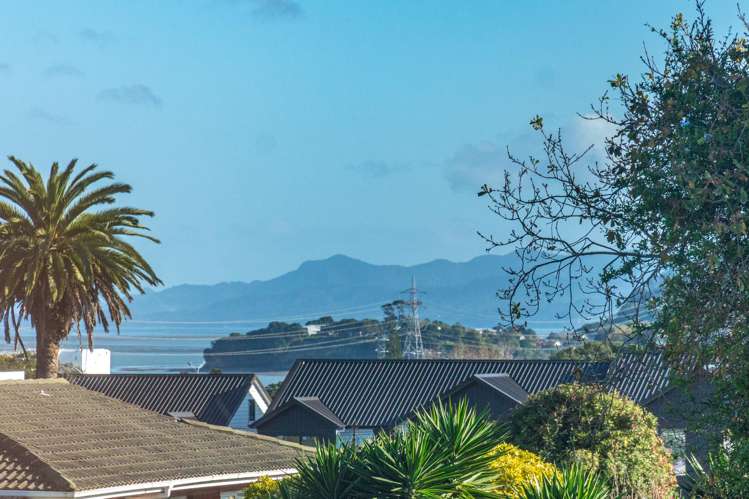 56a Spring Street Onehunga_14