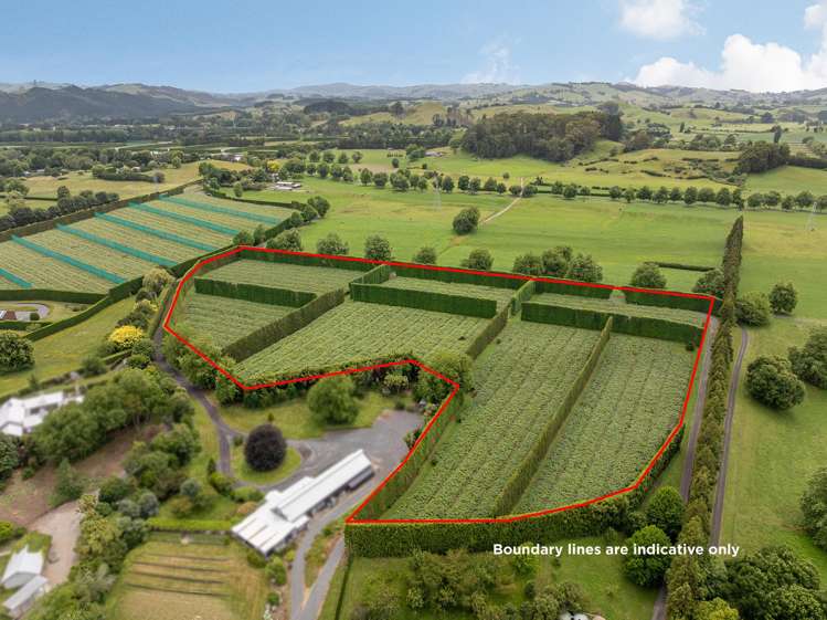 19E Amber Lane Karapiro_16