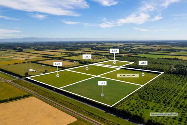 Live, Landbank or Develop