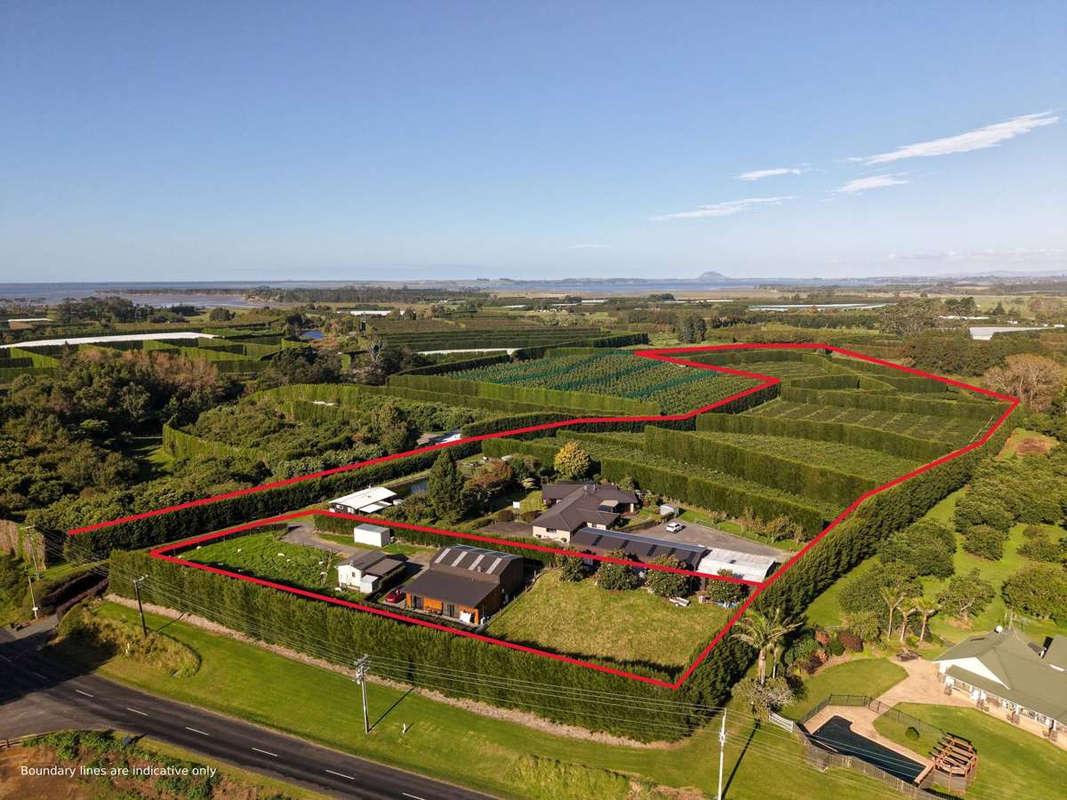 78A Walker Road East_5