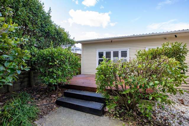 53a Allen Street Morrinsville_1