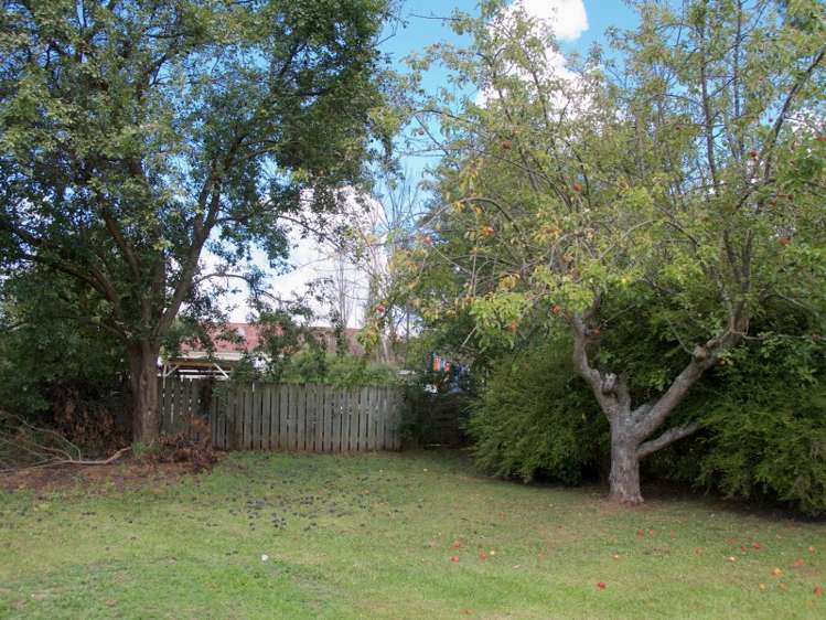 59 Moa Street Taihape and Surrounds_14