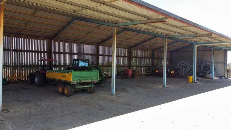 29 Dazeley Road Puni_10