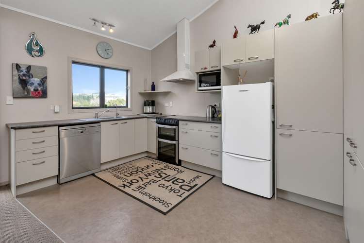 86 Mangapai Road Mangapai and Surrounds_10