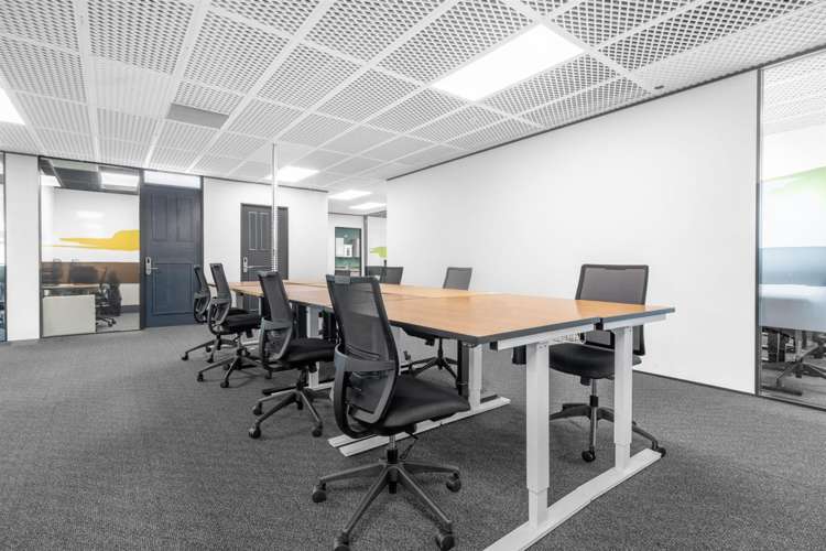 4 Williamson Avenue Ponsonby_11