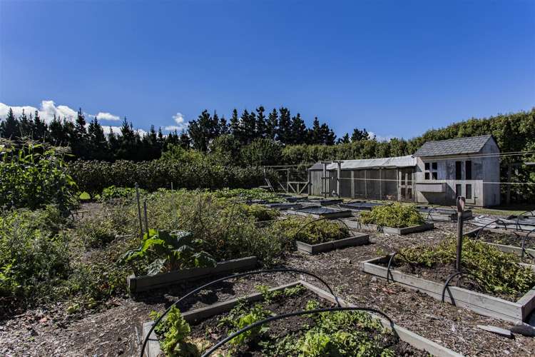 19 Hilton Drive Amberley_21