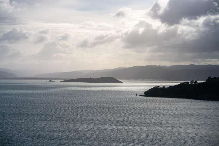 142 Grafton Road Roseneath_25