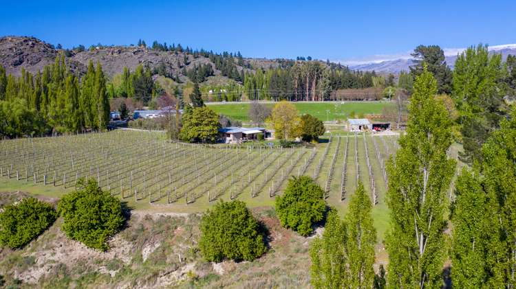 113 Earnscleugh Road Alexandra_3