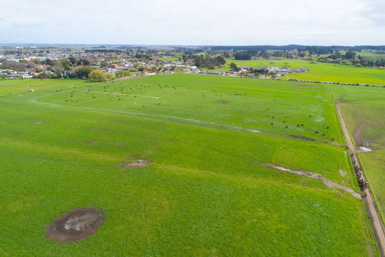 287 State Highway 1 Bulls_8