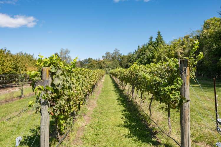 651 Wakefield-Kohatu Highway Wakefield_9