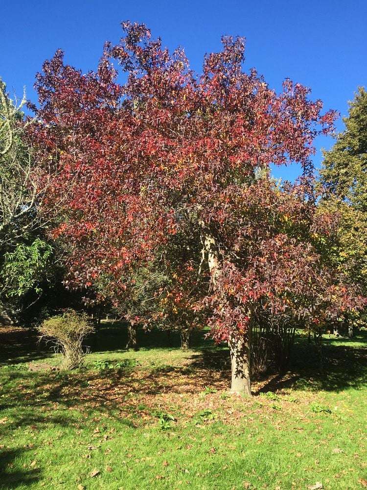 2 West Beach Road Mohaka_17