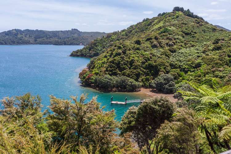 236 Kaiaraara Bay Road Great Barrier Island (Aotea Island)_5