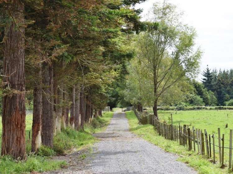 861 State Highway 1 Picton_2