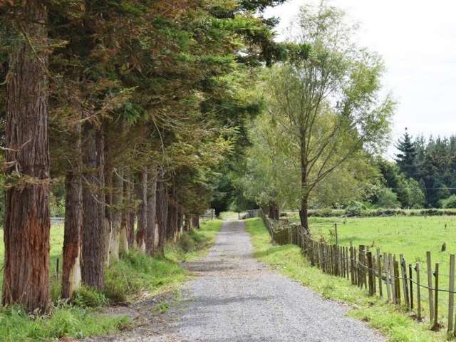 861 State Highway 1 Picton_2