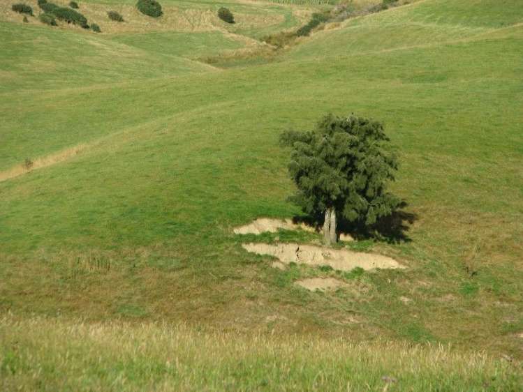 897 Mountain Road Pukerau_10